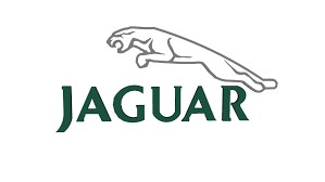 Jaguar Logo Vince Gibbs Classic Cars